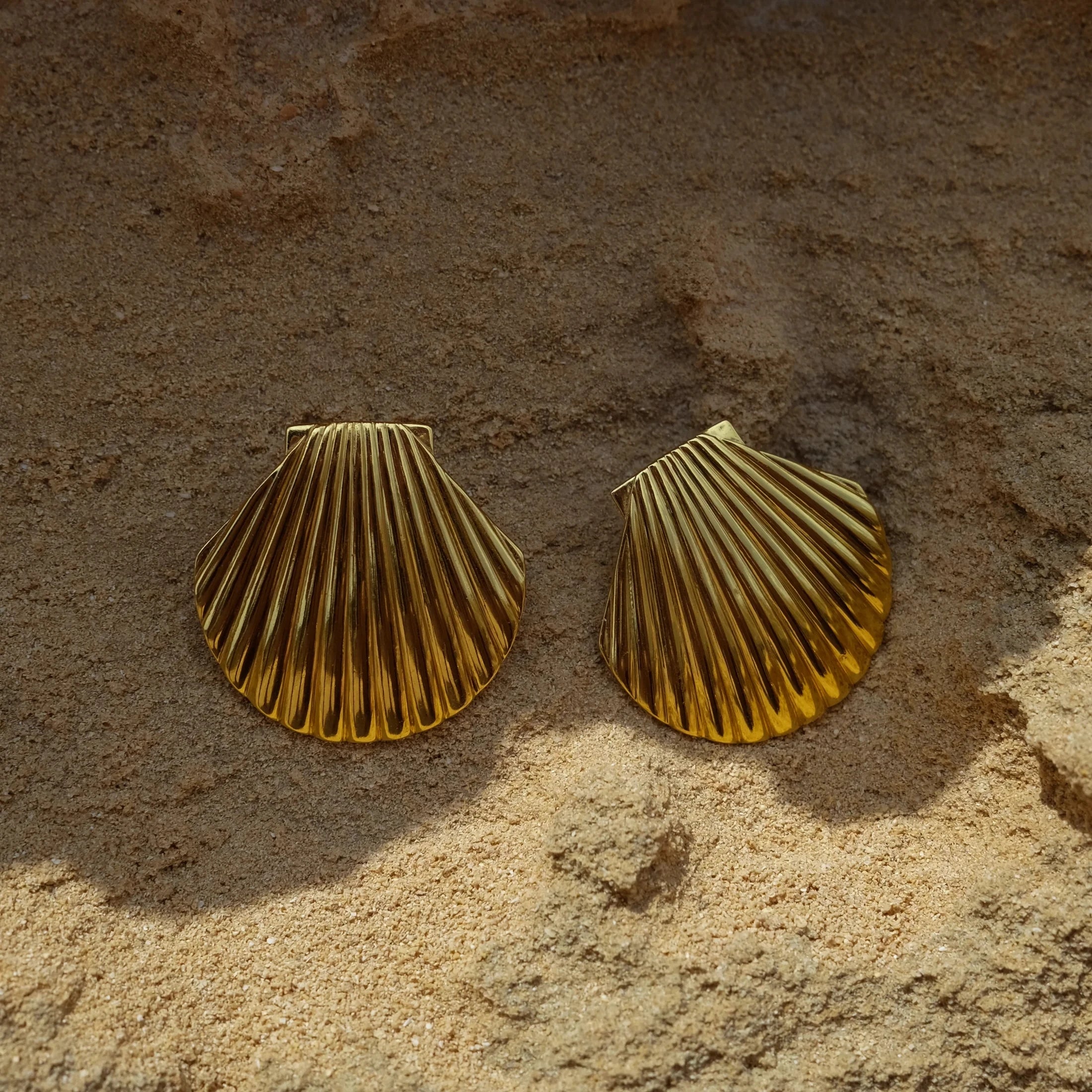 Shellyanne Clam Shell Stud Earrings